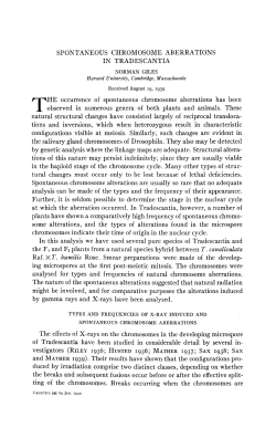 SPONTANEOUS CHROMOSOME ABERRATIONS IN