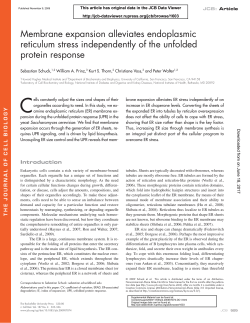 Membrane expansion alleviates endoplasmic reticulum stress