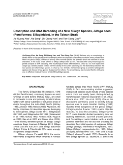 Description and DNA Barcoding of a New Sillago Species, Sillago