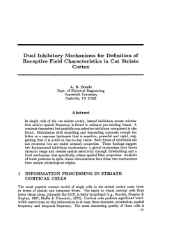 Dual Inhibitory Mechanisms for Definition of Receptive Field