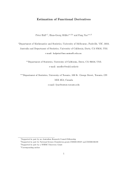 Estimation of Functional Derivatives