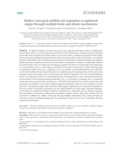 Shallow snowpack inhibits soil respiration in sagebrush steppe