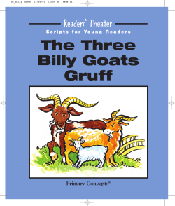 Billy Goats Gruff - Primary Concepts