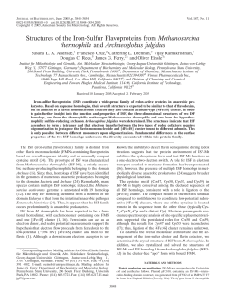 Structures of the Iron-Sulfur Flavoproteins from Methanosarcina