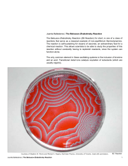 Documentation (PDF - 1.0MB)