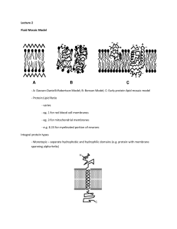 Lecture 2 Fluid Mosaic Model - A: Davson-Danielli