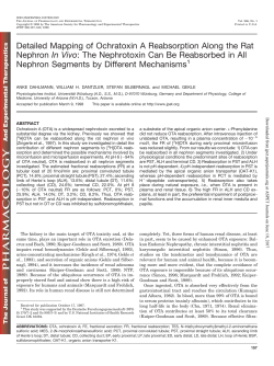 Detailed Mapping of Ochratoxin A Reabsorption Along the Rat
