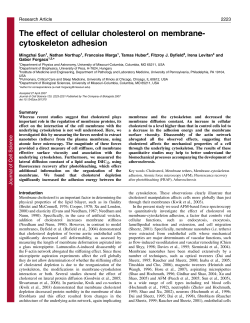 The effect of cellular cholesterol on membrane