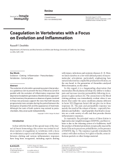 Coagulation in Vertebrates with a Focus on Evolution