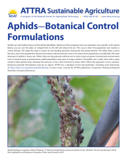 PDF - ATTRA - National Center for Appropriate Technology