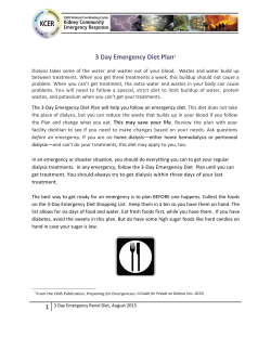 3 Day Emergency Diet Plan1