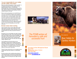 Bear Safety for Caribou Hunters - Porcupine Caribou Management