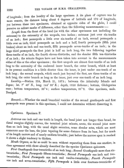 from the localityof the large specimen A its place of capturewas far