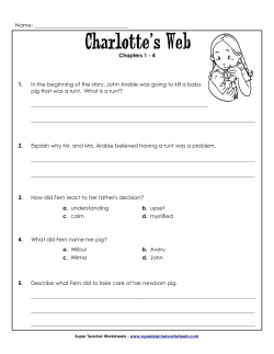 Name - Super Teacher Worksheets