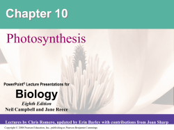 Chapter 10