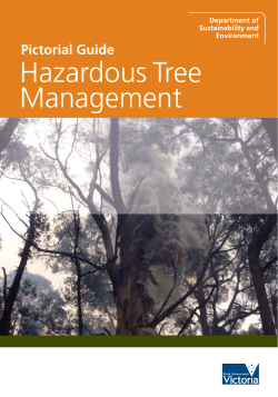 Hazardous Tree Management