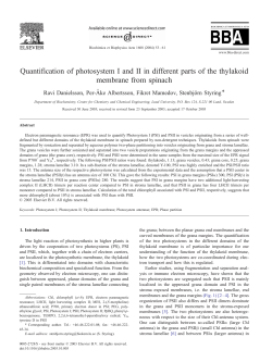 Quantification of photosystem I and II in different parts of the