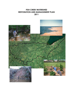 Fish Creek Watershed Restoration