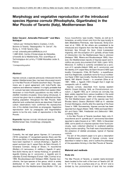 Morphology and vegetative reproduction of the