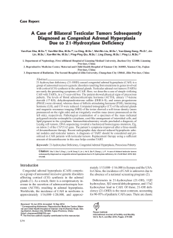 A Case of Bilateral Testicular Tumors Subsequently Diagnosed as
