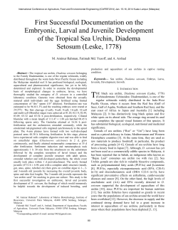 First Successful Documentation on the Embryonic, Larval and