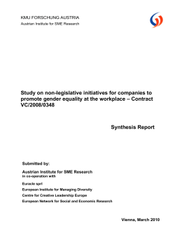 Study on non-legislative initiatives for companies to