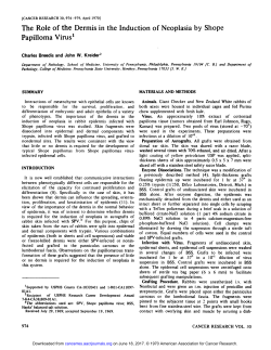 The Role of the Dermis in the Induction of