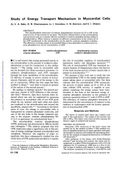Study of Energy Transport Mechanism in Myocardial Cells