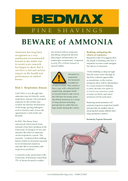 BEWARE of AMMONIA