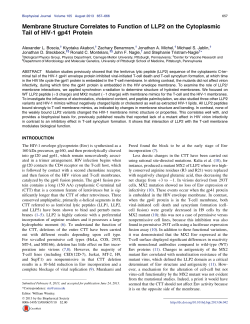Membrane Structure Correlates to Function of LLP2 on the