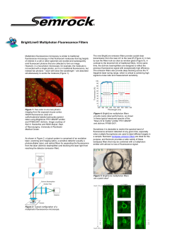 BrightLine&reg; Multiphoton Fluorescence Filters