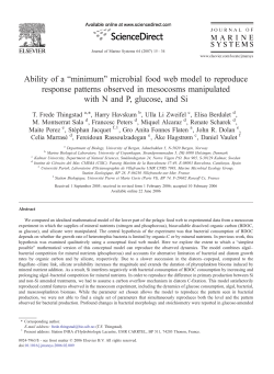 Ability of a &ldquo;minimum&rdquo; microbial food web model to reproduce