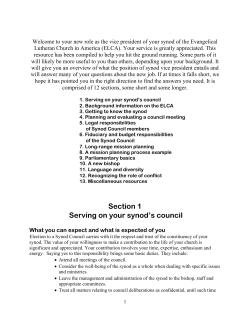 Administrative Resource for Synod Vice Presidents