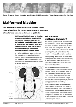 Malformed bladder - Great Ormond Street Hospital