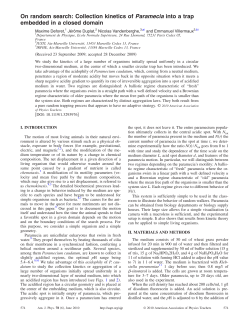 On random search: Collection kinetics of Paramecia into a
