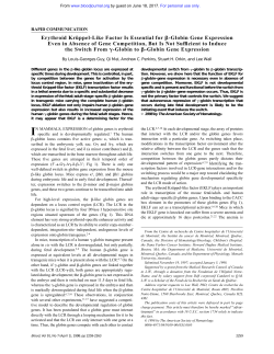 Erythroid Kr&uuml;ppel-Like Factor Is Essential for