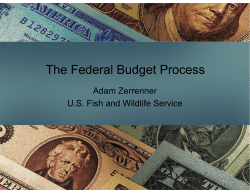 The Budget Process