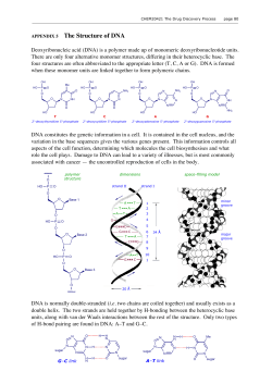 Appendix 5 Structure of DNA