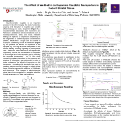 The Affect of Wellbutrin on Dopamine Reuptake Transporters in