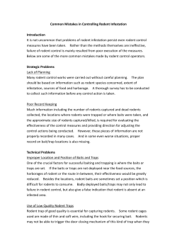 Common Mistakes in Controlling Rodent Infestation Introduction It is