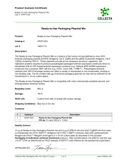 Ready-to-Use Packaging Plasmid Mix