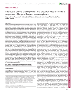 Interactive effects of competition and predator cues on immune