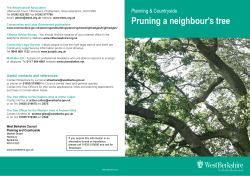 Pruning a neighbour`s tree