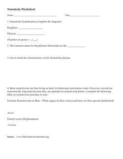 Nematode Worksheet