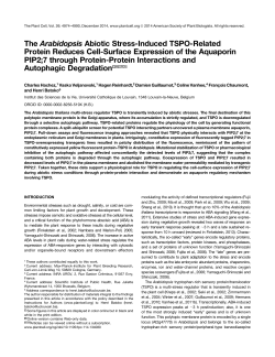The Arabidopsis Abiotic Stress-Induced TSPO