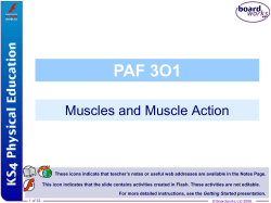 5. Muscles and Muscle Action