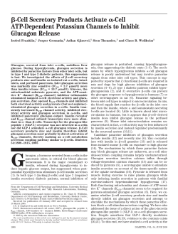 Cell Secretory Products Activate -Cell ATP-Dependent