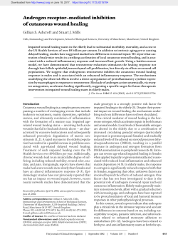 Androgen receptor&ndash;mediated inhibition of cutaneous wound healing