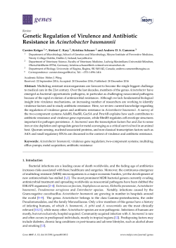 Genetic Regulation of Virulence and Antibiotic Resistance in