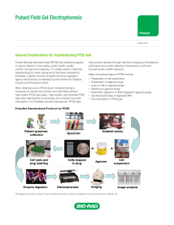 Pulsed Field Gel Electrophoresis - Bio-Rad